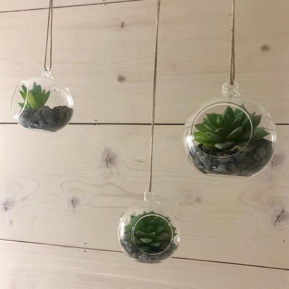 Set of 3 succulent terrariums - Picture 8 of 16
